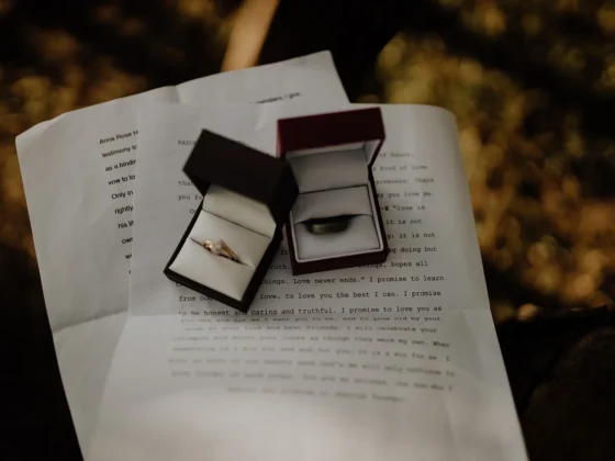 Zwei Ringboxen auf Ehegelübde - Eheversprechen schreiben mylocalwedding Anleitung