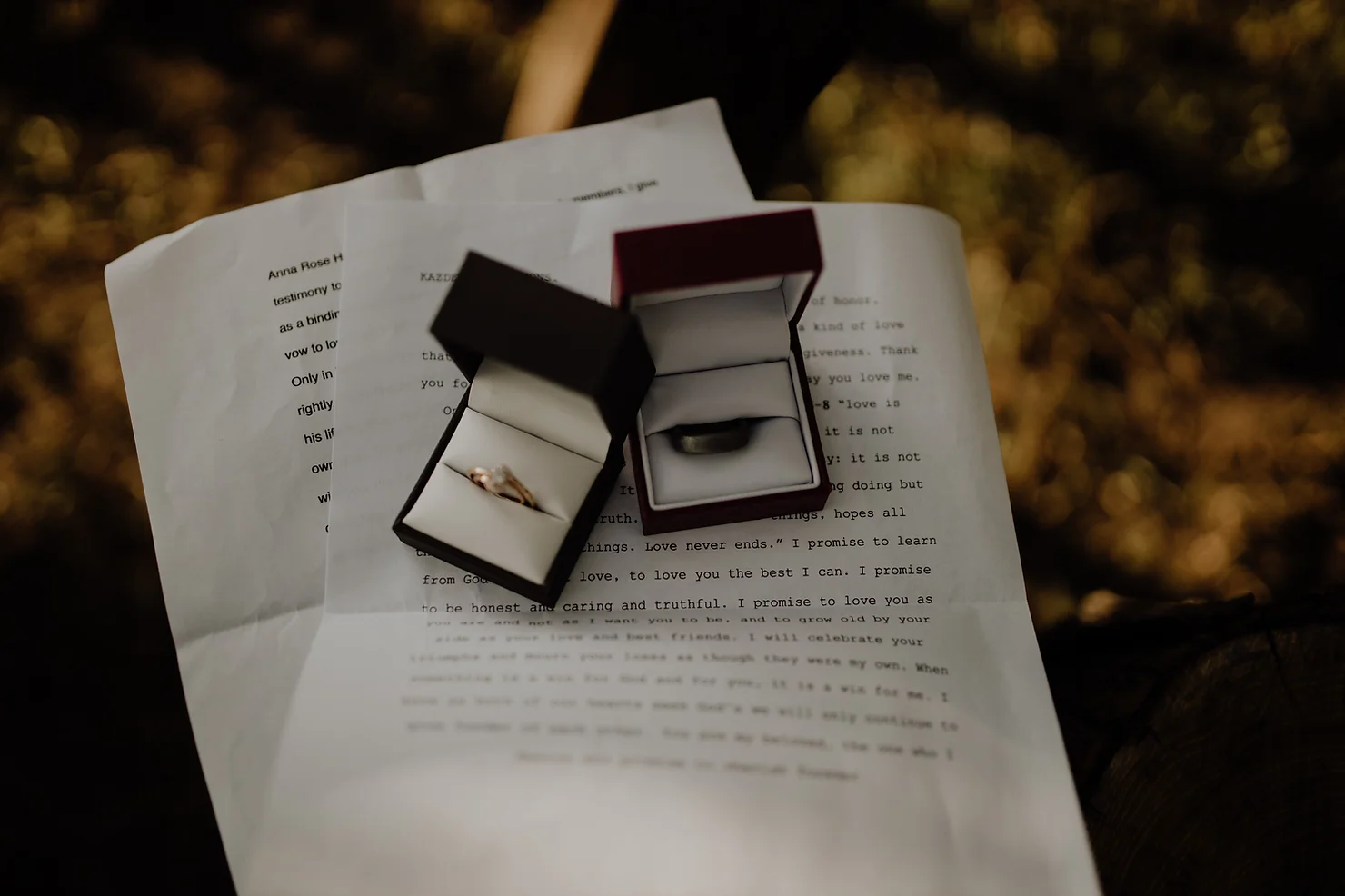 Zwei Ringboxen auf Ehegelübde - Eheversprechen schreiben mylocalwedding Anleitung