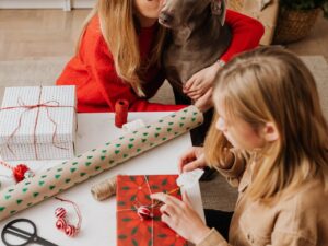 Weihnachtsgeschenk Ideen